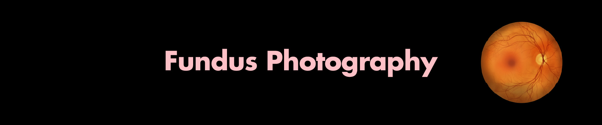 digital fundus photography page header